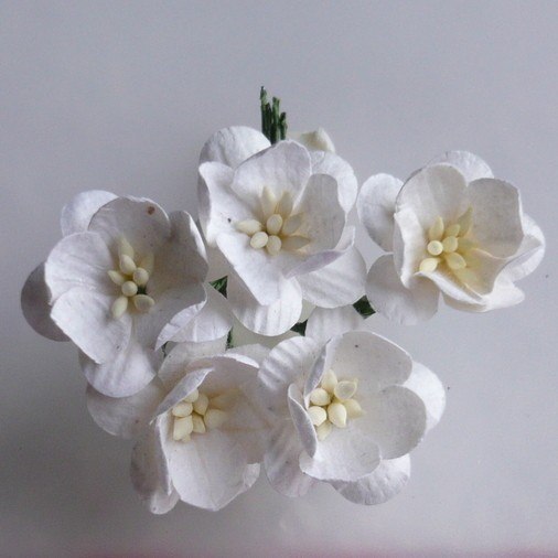 Papierowe kwiaty wiśni w kolorze białym