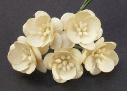 Kwiaty papierowe - kwiat wiśni kremowy - 5 szt.