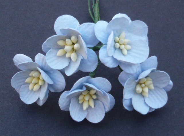 Kwiat wiśni z papieru mullberry niebieskie