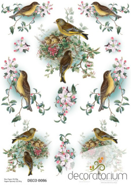 Papier ryżowy - ptaki, ptaszki, kwiaty