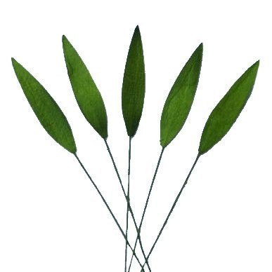Liście trawy zielone (30mm) - 10 szt