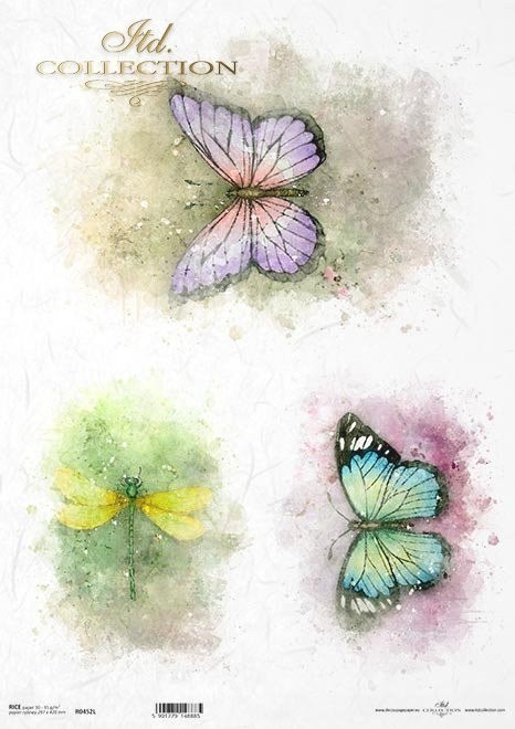Papier ryżowy A3 - kolorowe motyle, ważka - ITD Collection