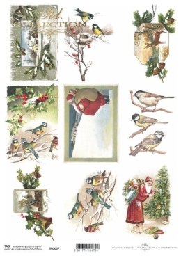 Papier do scrapbookingu - Boże Narodzenie, Mikołaj, ptaszki
