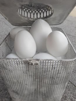 Jajko plastikowe białe , 11 cm